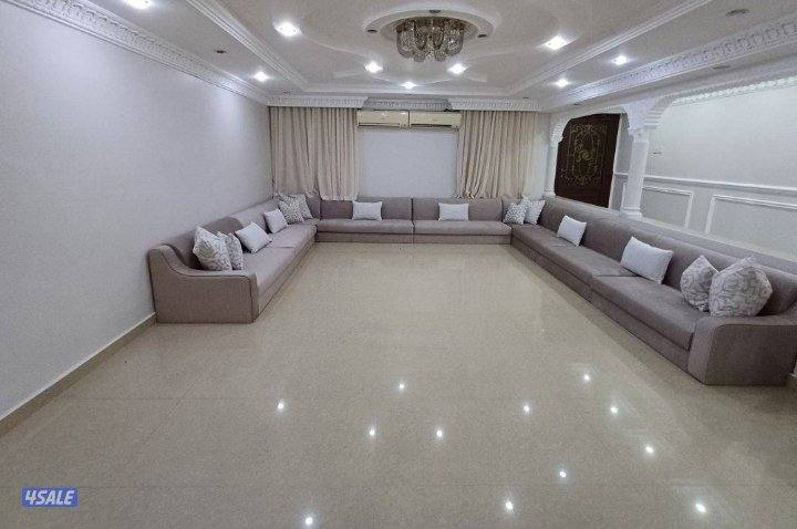 فرونيه ضجيج10