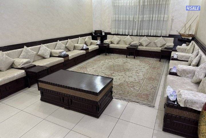 فرونيه ضجيج12