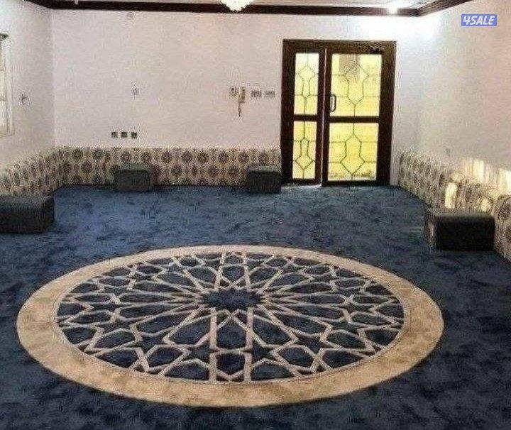 فرونيه ضجيج13