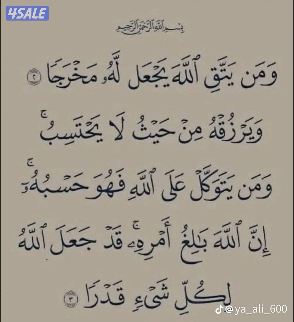 الفنيطيس وأبو فطيره0