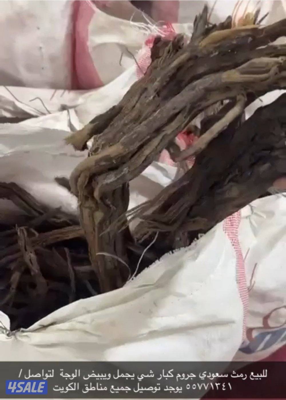 للبيع جميع انواع الحطب2