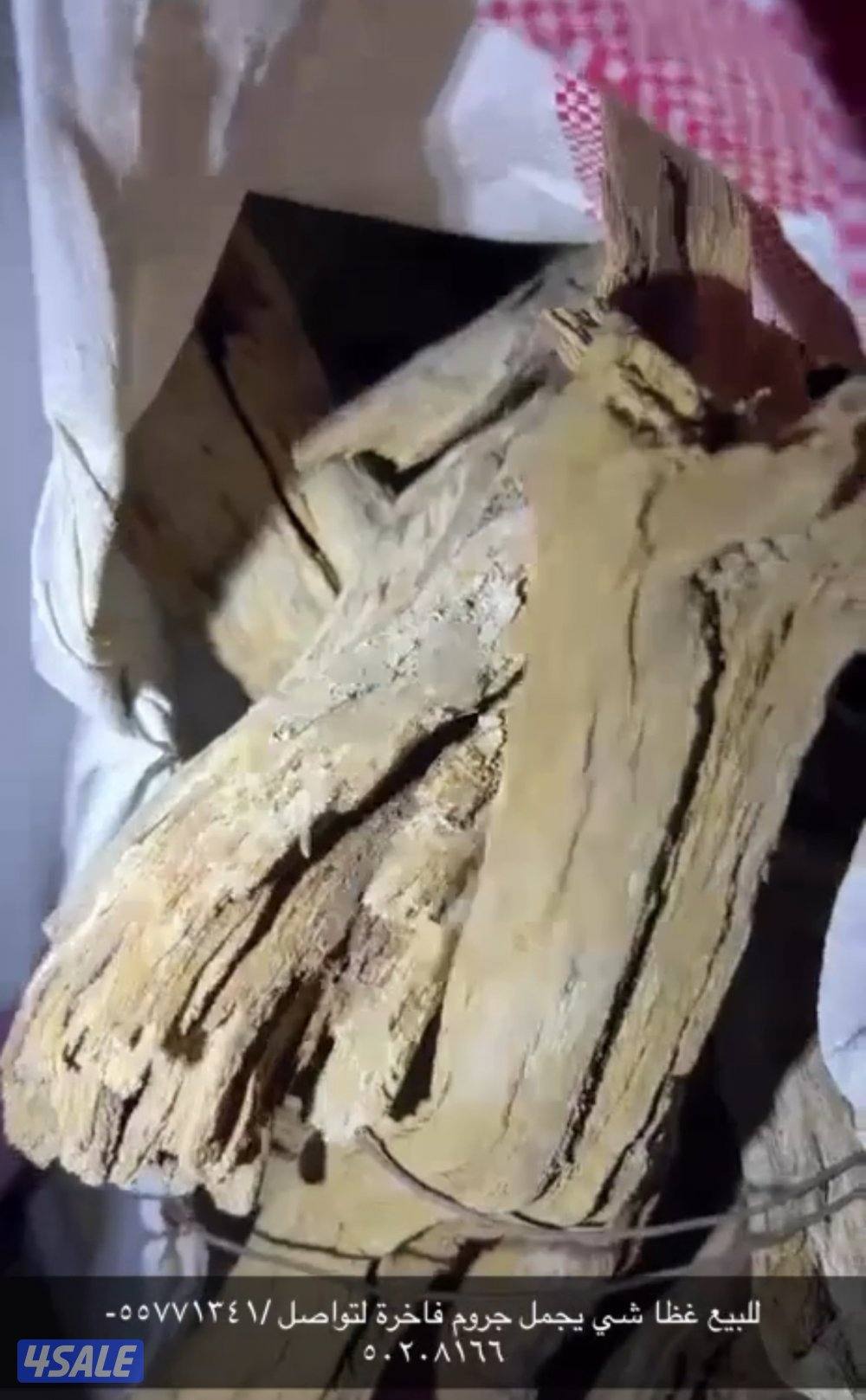 للبيع جميع انواع الحطب3