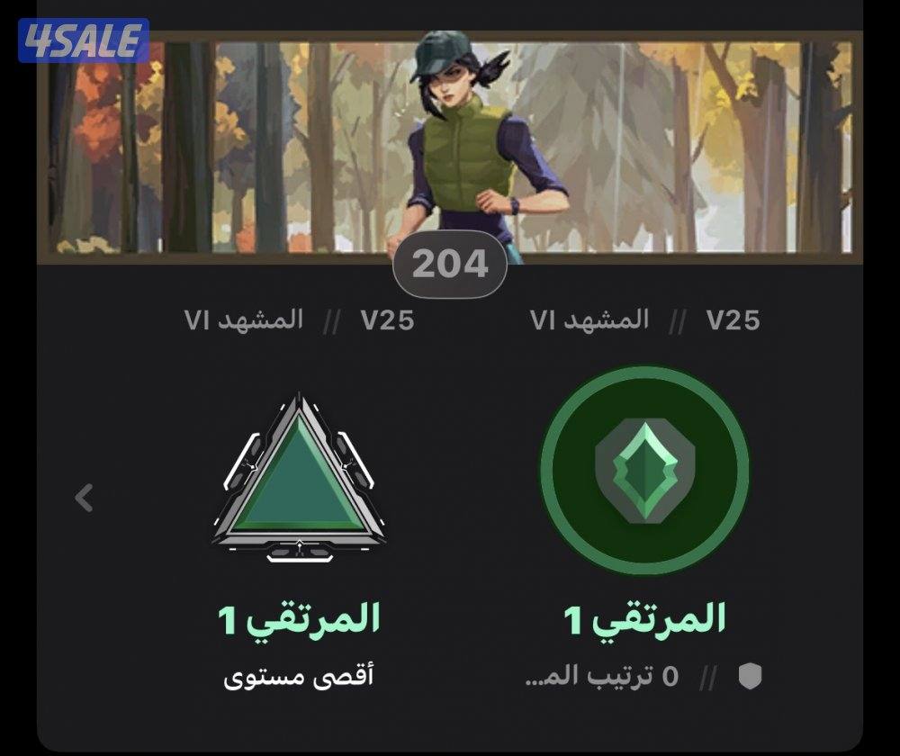 حساب فالورنت3