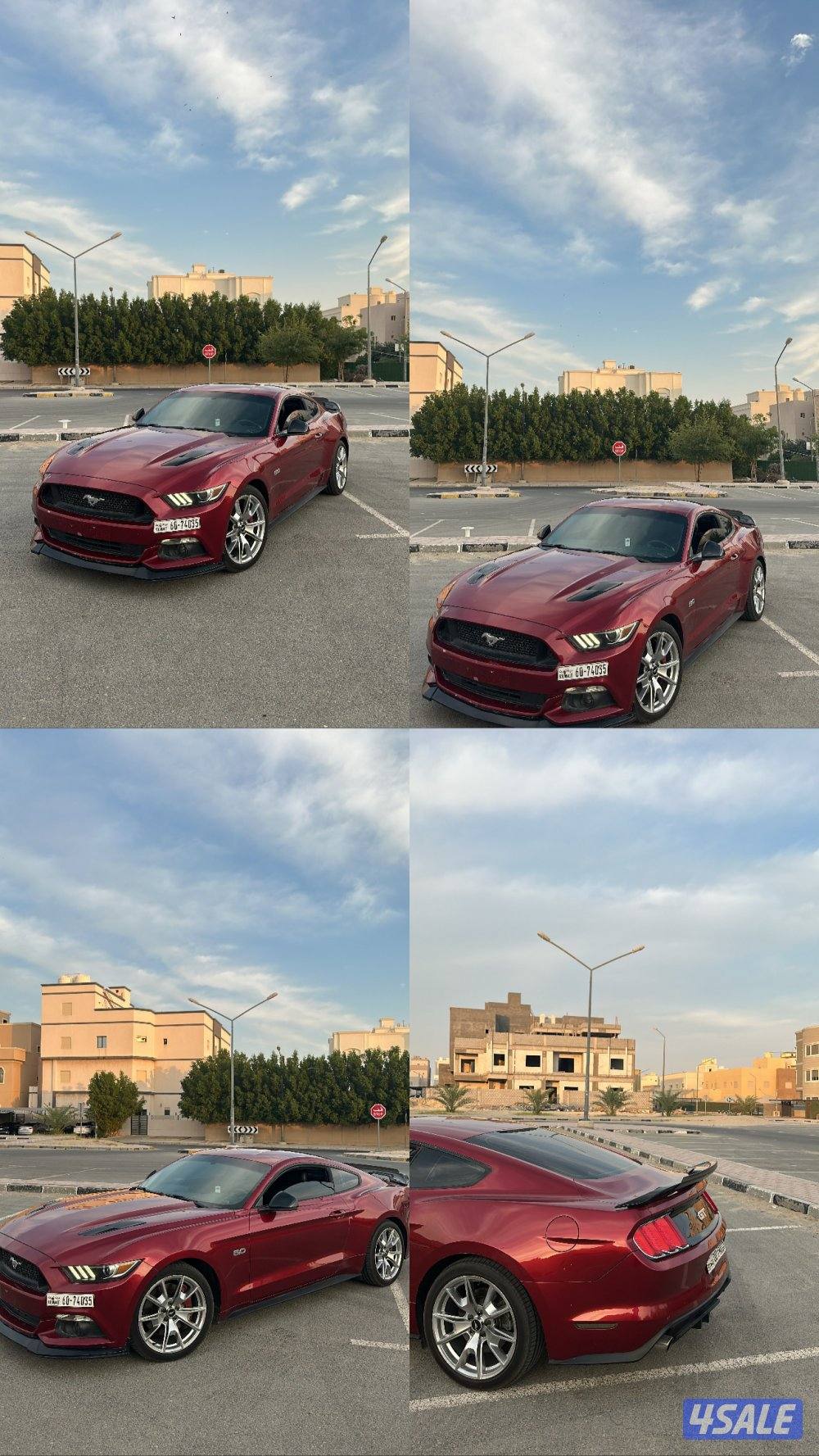 للبيع موستنق0