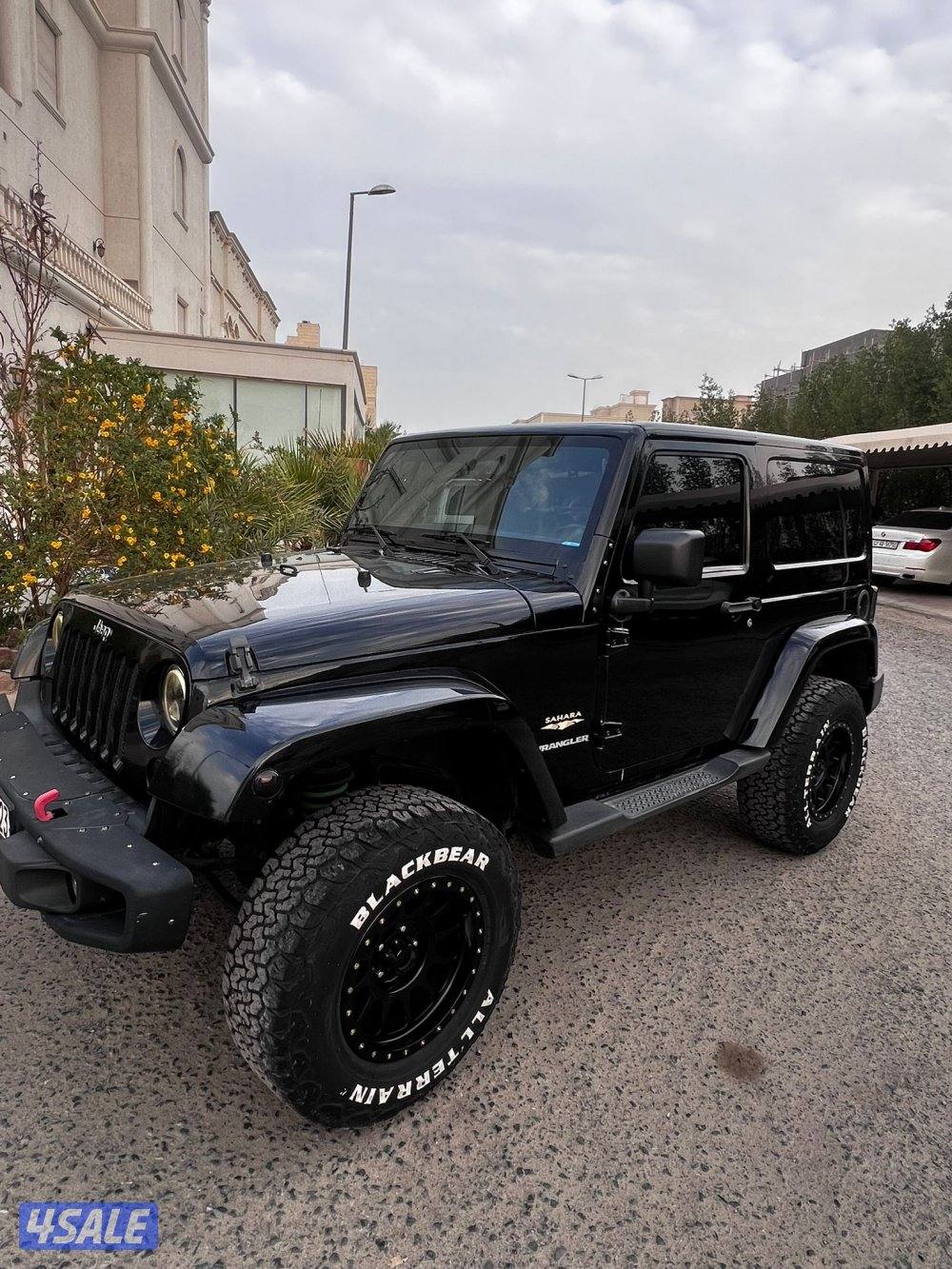 رانقلر صحاري0