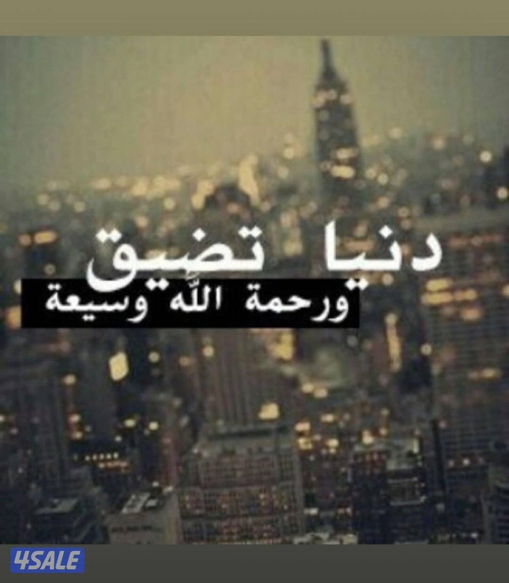 سجاد مساجد 🕌 اسعار طيبه  ترضي الجميع8