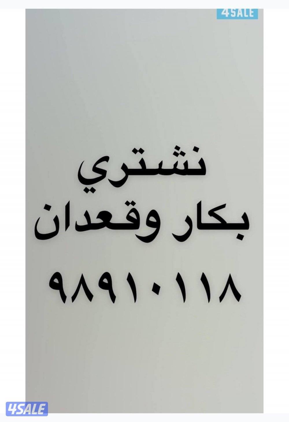 نشتري بكار وقعدان0