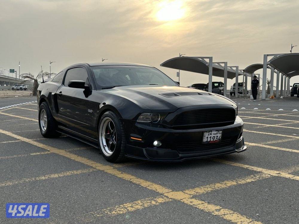 موستنج 5.0 / 2013 شاصي جيد4