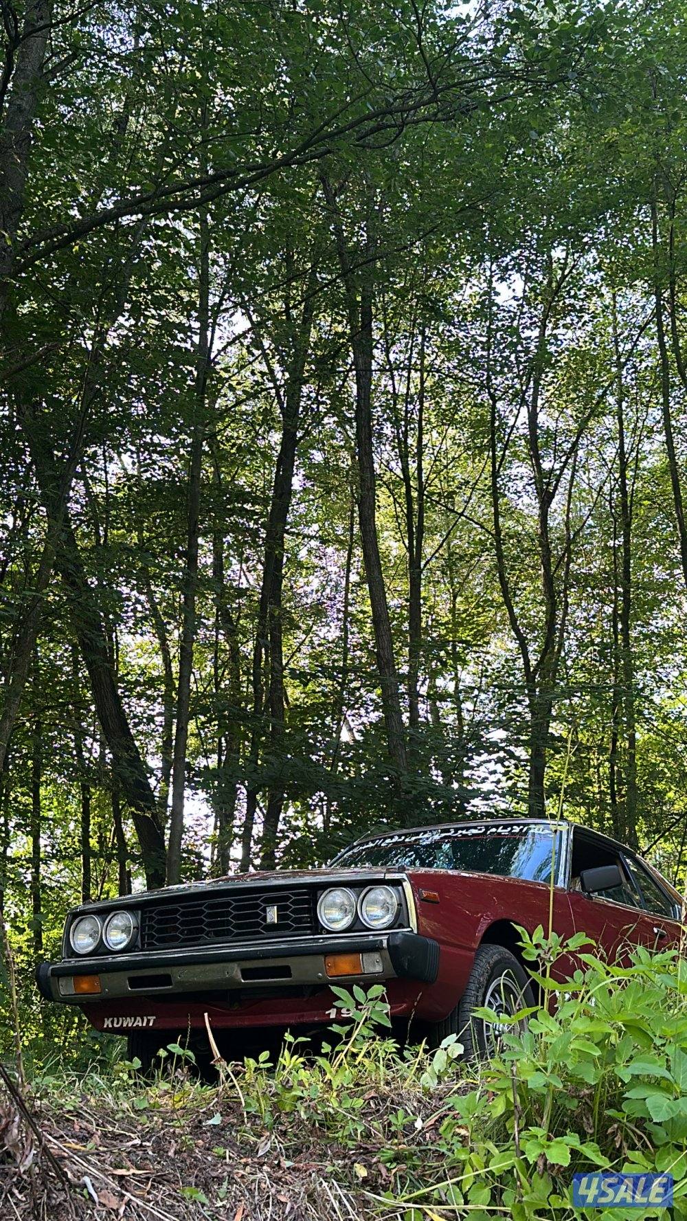 جيتي1979 استراليه تحويلة الامارات6