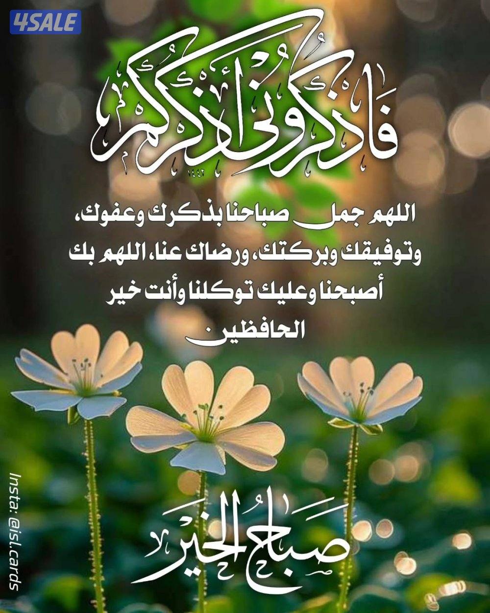 للايجار شقه ٣ غرف نوم بابو فطيره قطعه ١ سكن المالك0