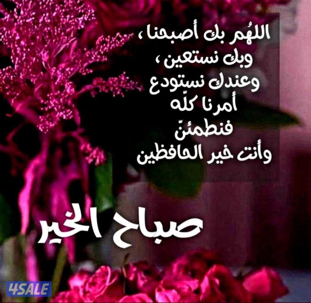 محاضر جامعي لجميع المواد الخاصة باللغة العربية1