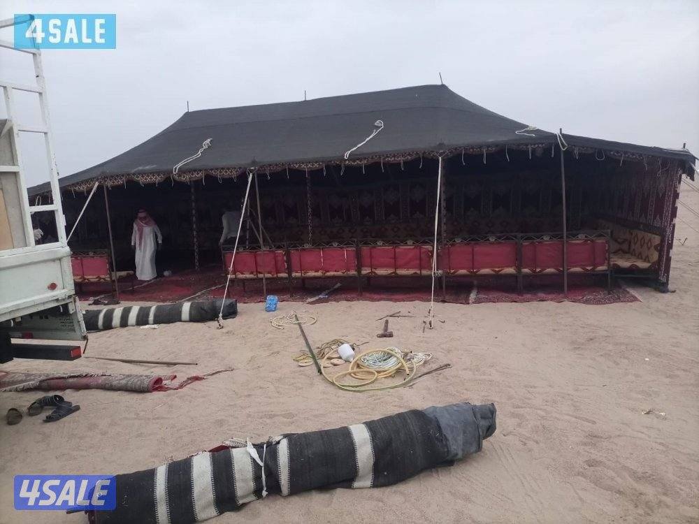 افراح الخليج11