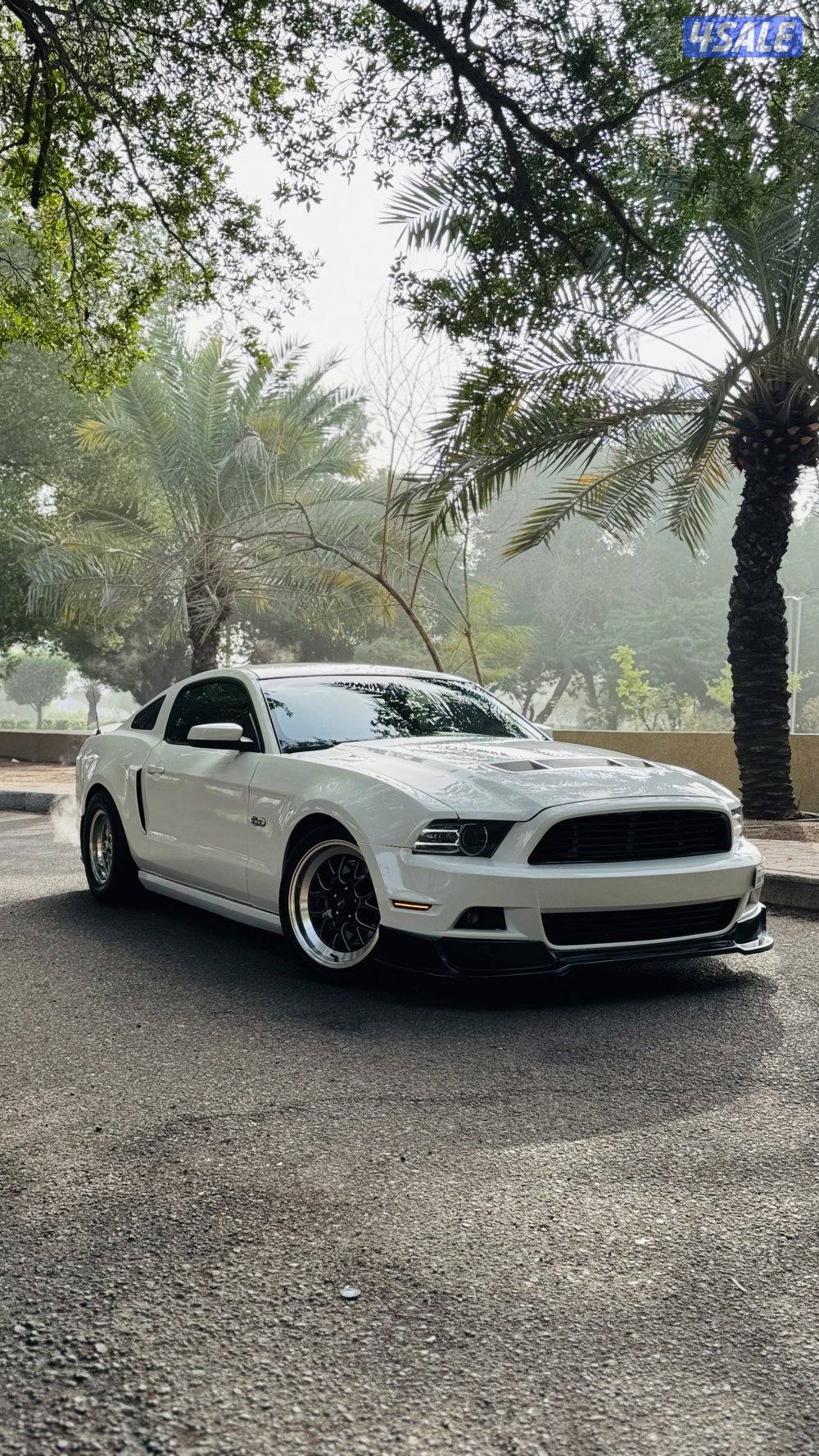 موستنق ٢٠١٣0