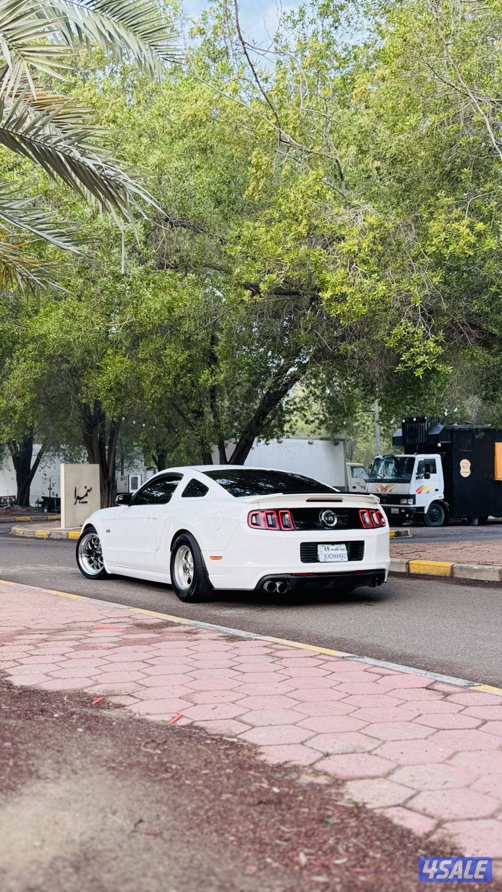 موستنق ٢٠١٣1