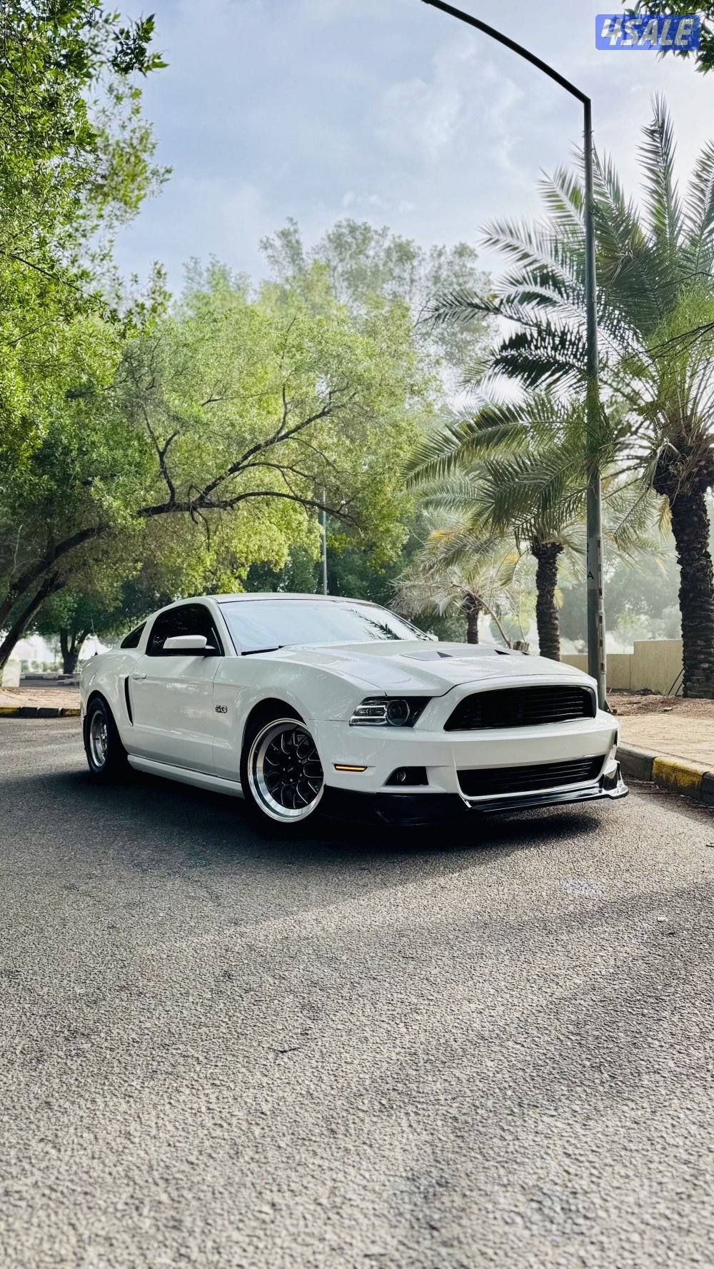 موستنق ٢٠١٣2