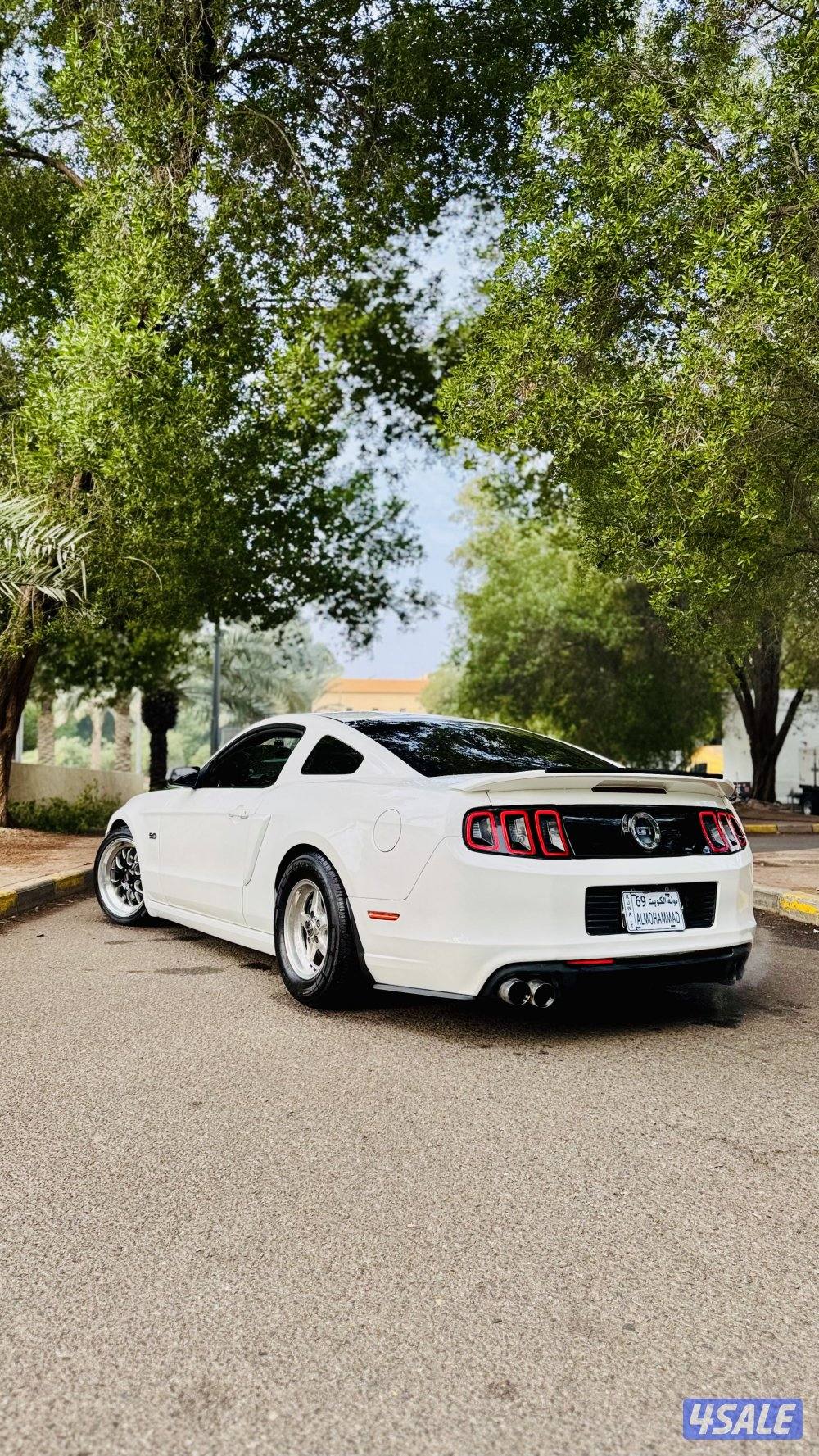 موستنق ٢٠١٣3