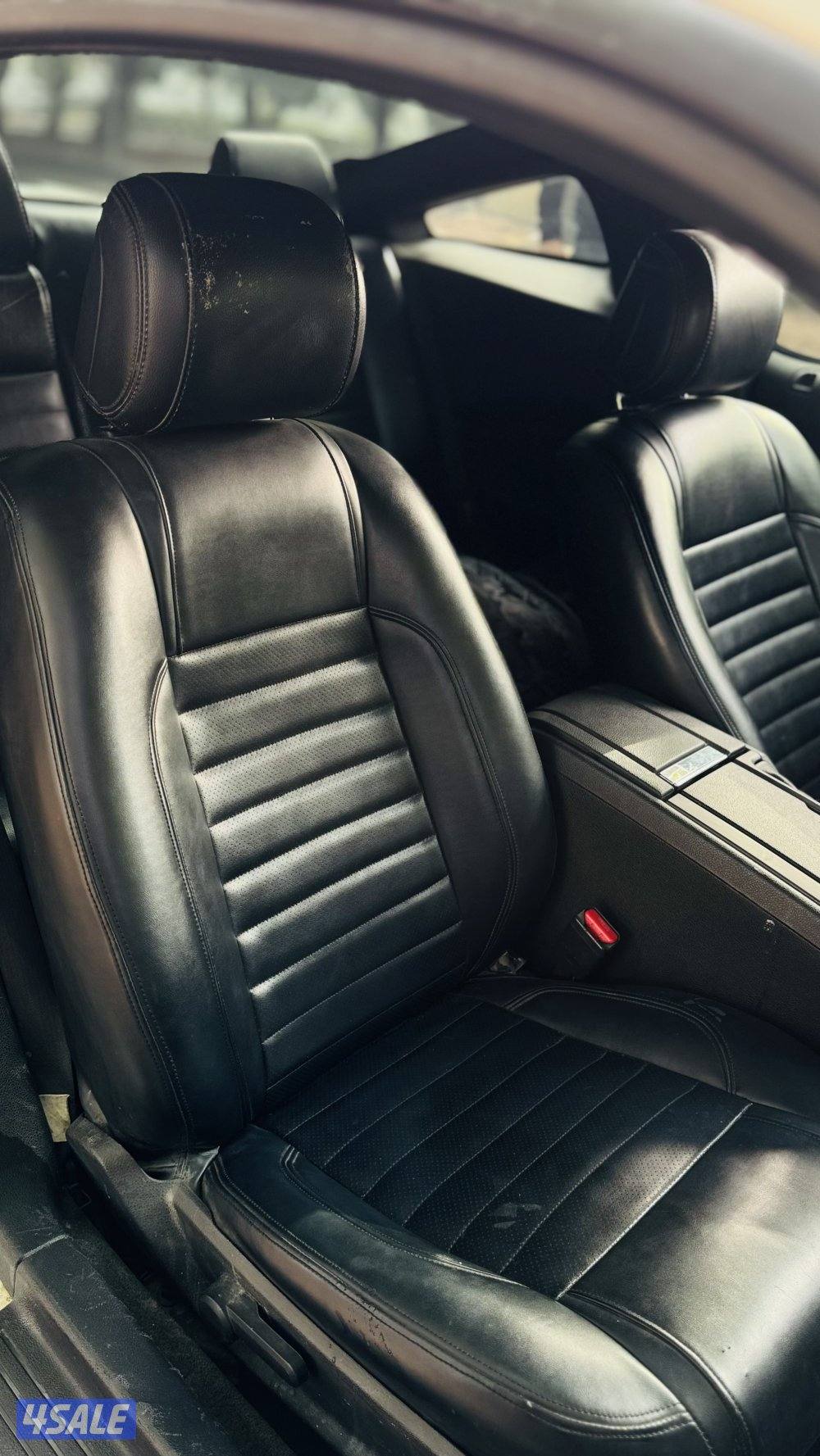 موستنق ٢٠١٣5