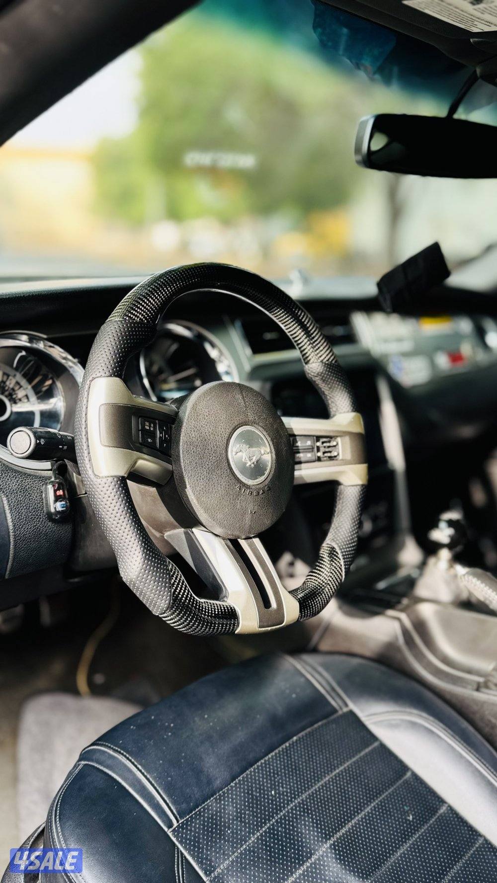 موستنق ٢٠١٣6