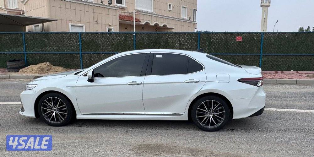 فل اوبشن 20246