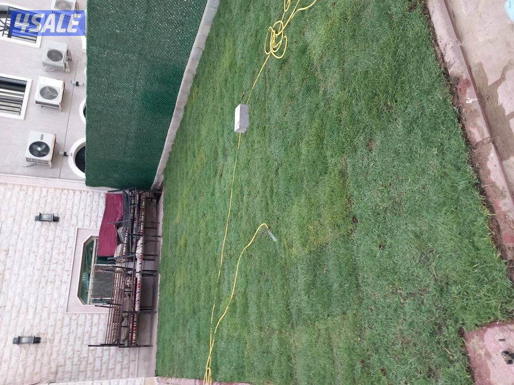 ابو محمد لتسيق الحدائق5