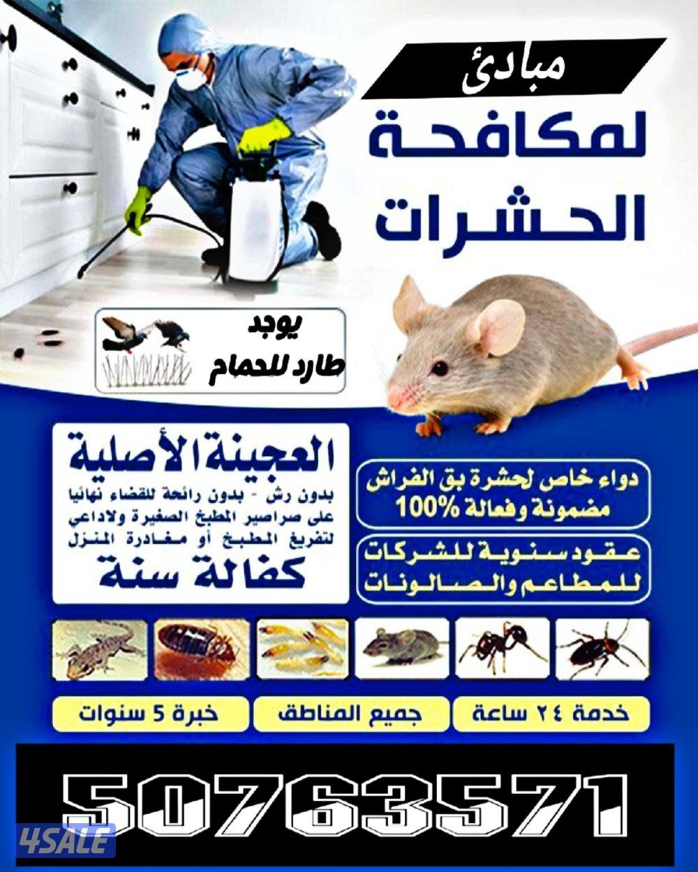 مكافحة حشرات0