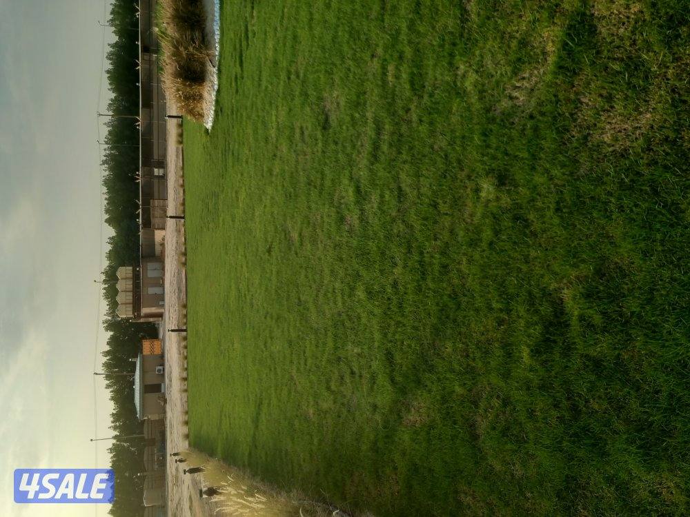 حداده عامه و محميات زراعيه/حدائق وشبكات ري وثيل2