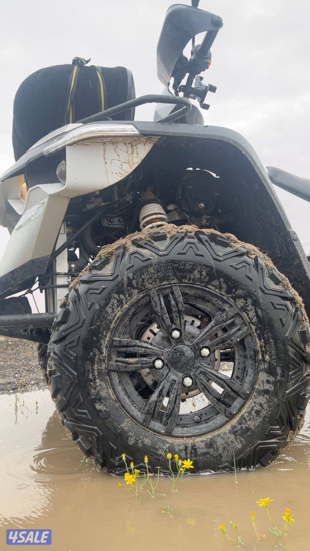 للبيع قرزلي 2020 نضيف 1300د.ك قابل للتنزيل جاهز للموسم1