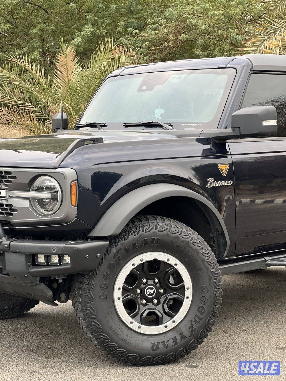 برونكو بادلاند 20211