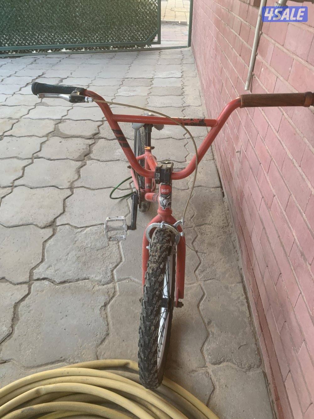 الظهر قطعه61