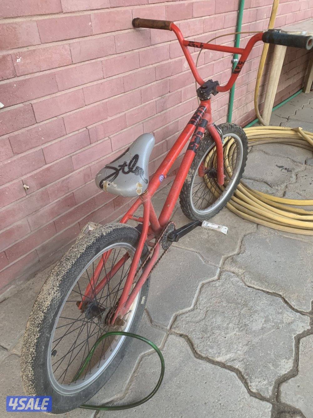 الظهر قطعه63