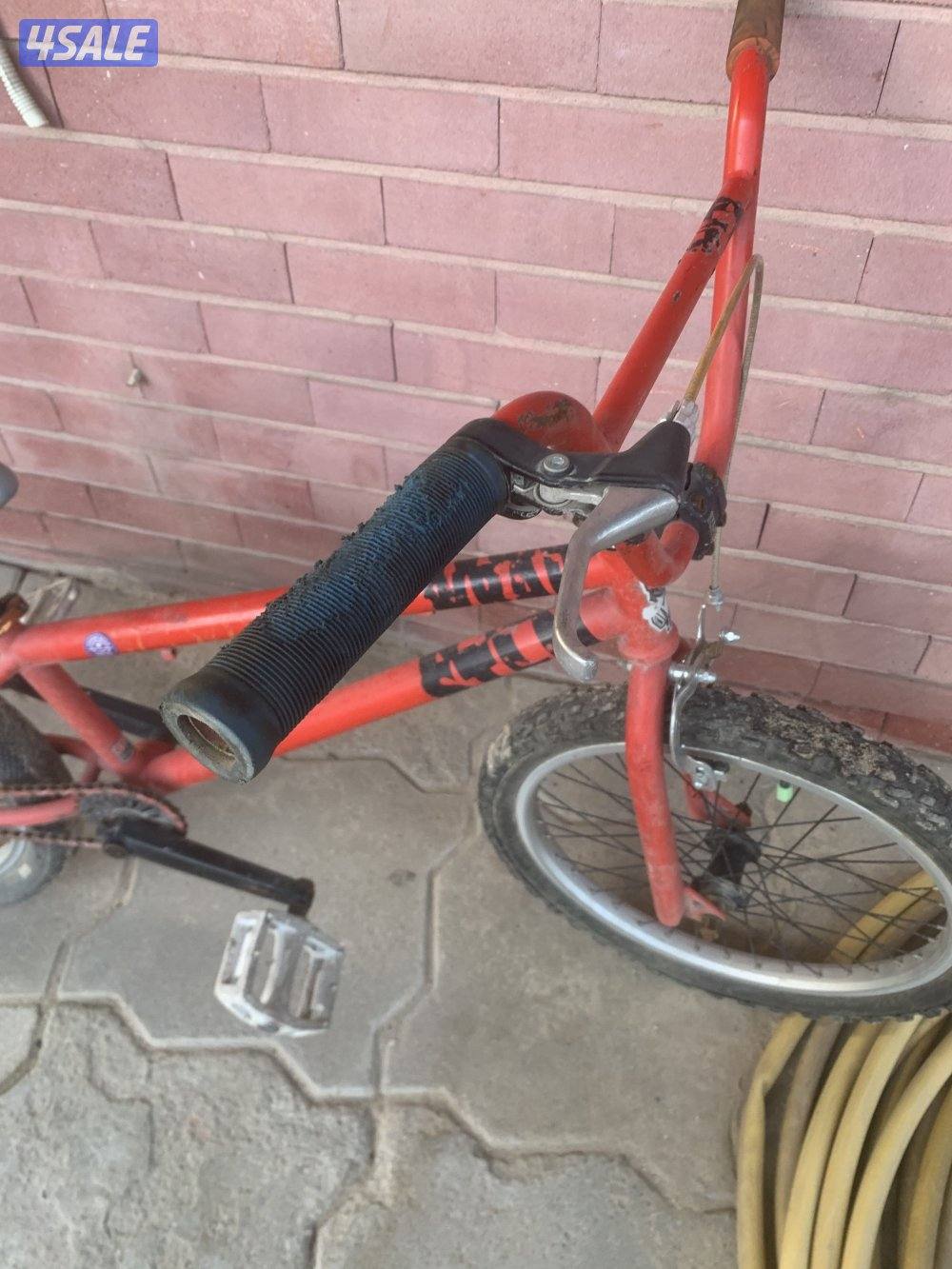 الظهر قطعه64