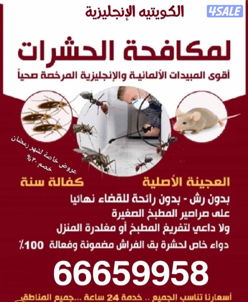 مكافحة حشرات وقوارض بالكويت مكافحة الصراصير مكافحة القوارض0