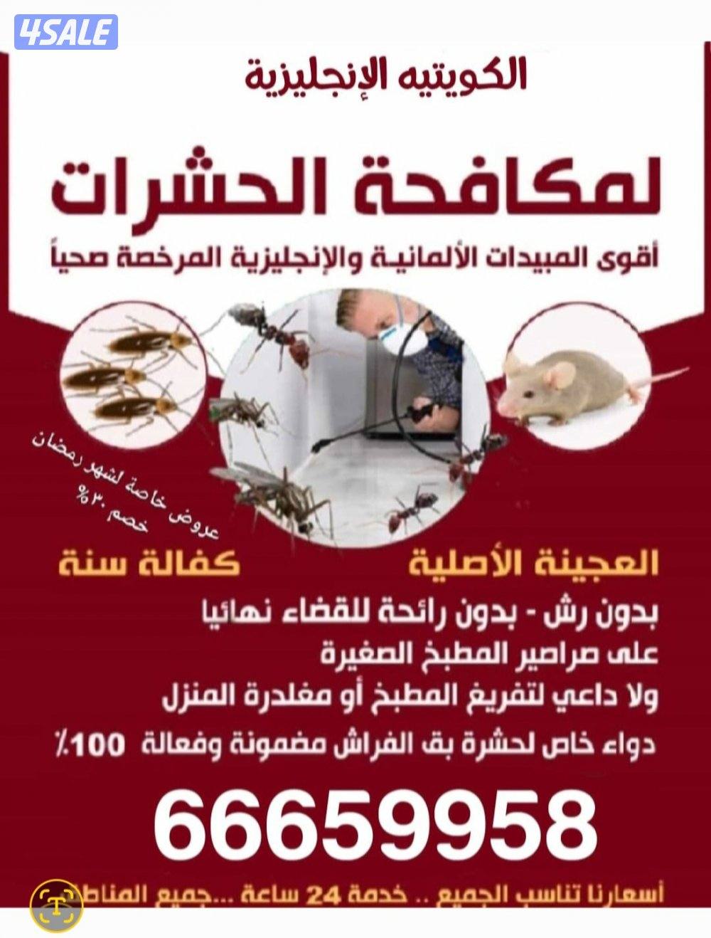 مكافحة حشرات كفاله سنه مكافحة حشرات وقوارض بالكويت مكافحة الصراصير الم0