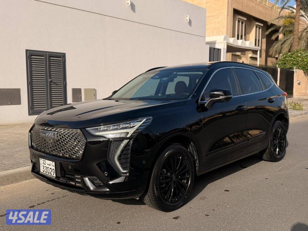 هافال جوليون عداد 19 صبغ وكالة تحت الكفالة0