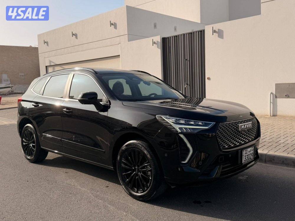 هافال جوليون عداد 19 صبغ وكالة تحت الكفالة1