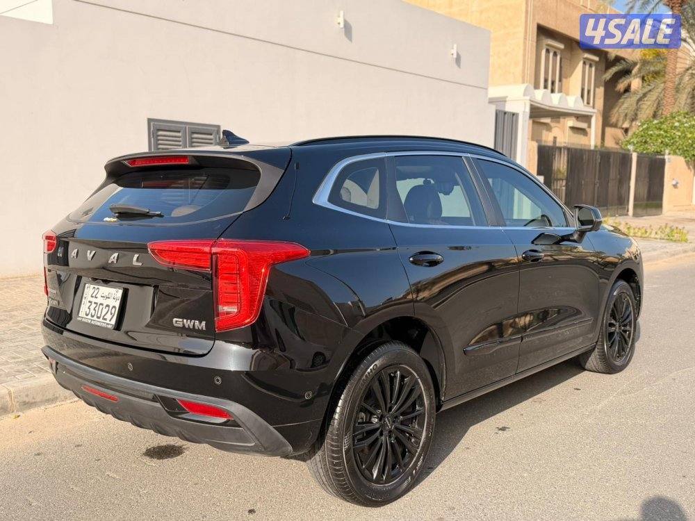 هافال جوليون عداد 19 صبغ وكالة تحت الكفالة3