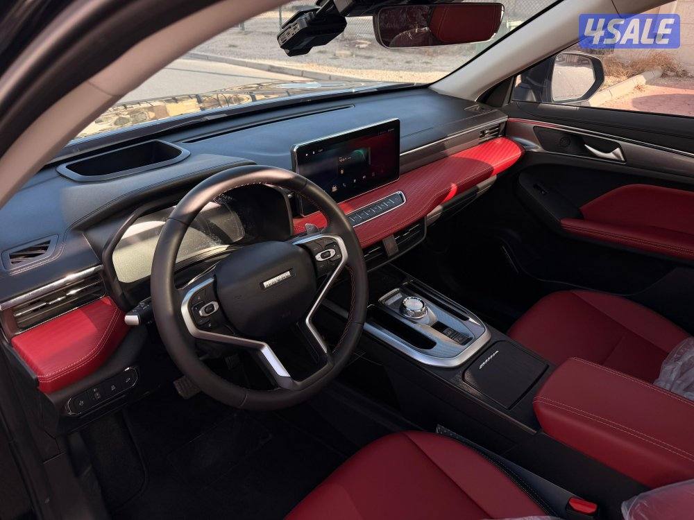 هافال جوليون عداد 19 صبغ وكالة تحت الكفالة4