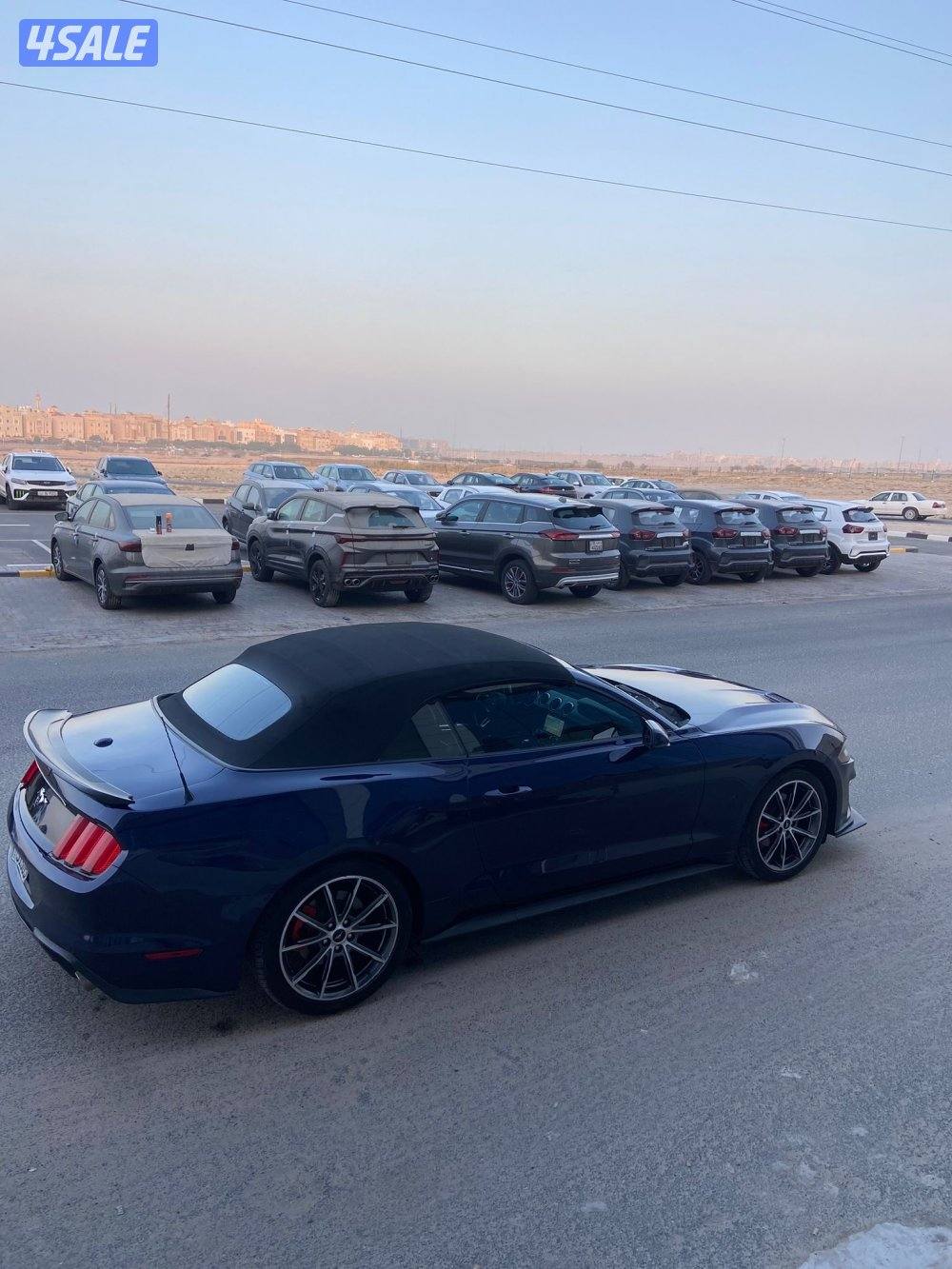 للبيع موستنق موديل 20195