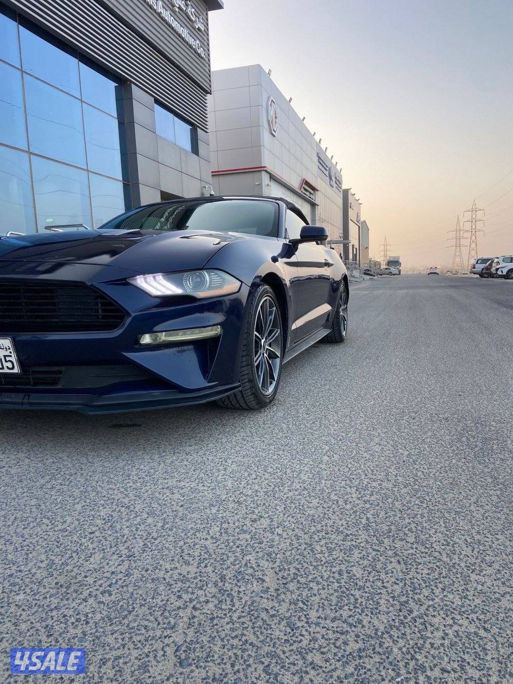 للبيع موستنق موديل 201912