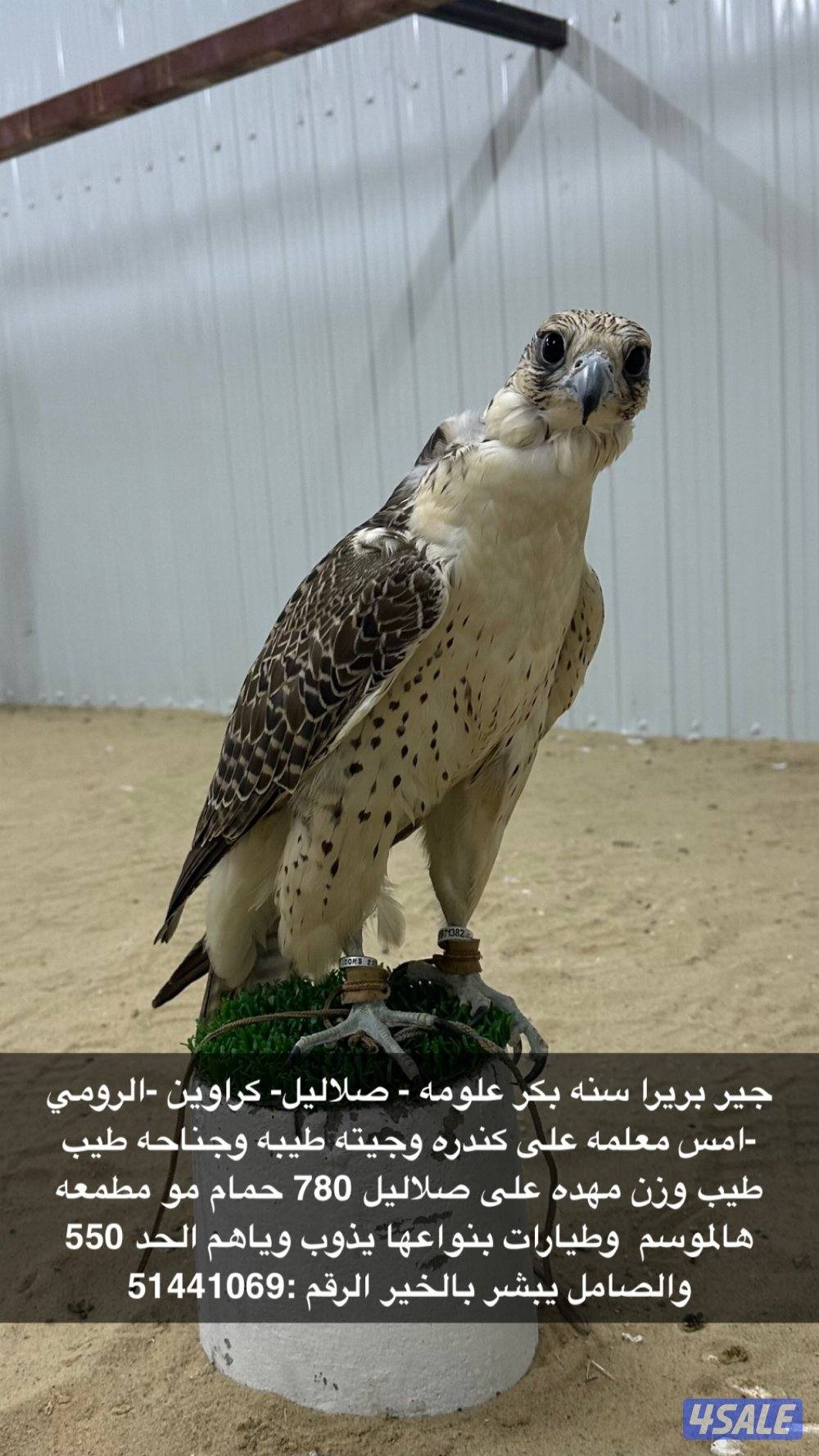 علوم الطير بالصوره والصامل يبشر بالخير0