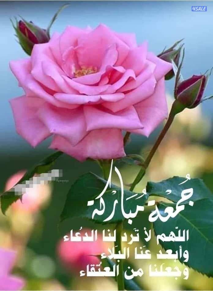 مدرسة رياضيات ثانوى0