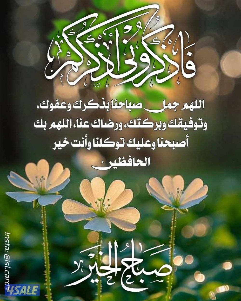 للايجار معاريس أو دكتور جامعى شقه ٣ غرف نوم بعبد الله مبارك بجوار الجا0