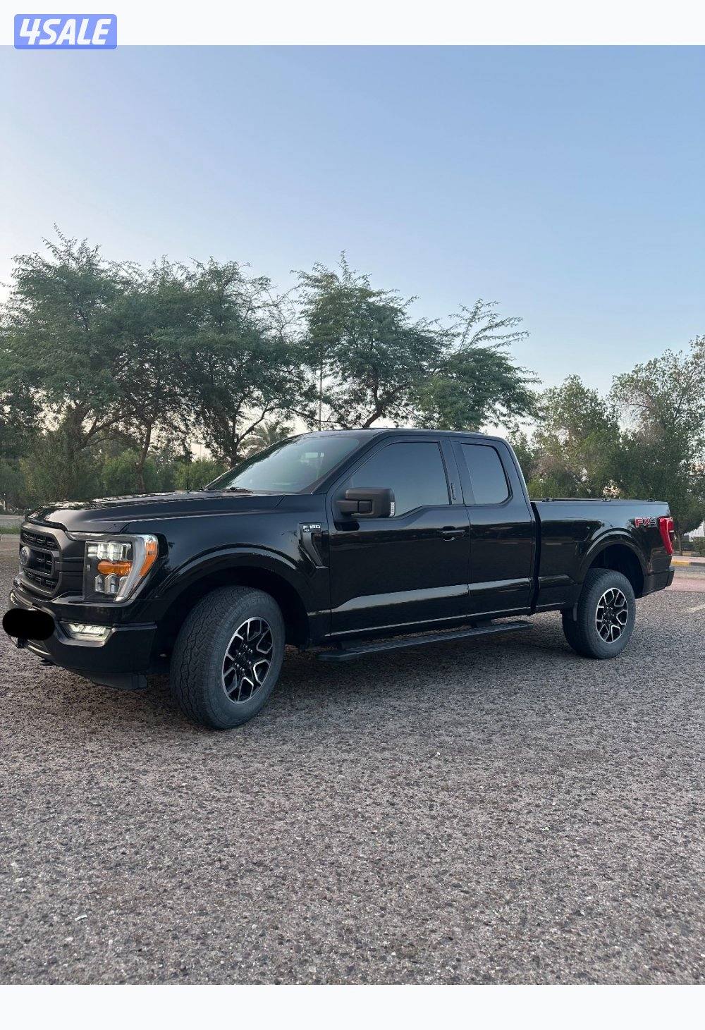 وانيت فورد FX40