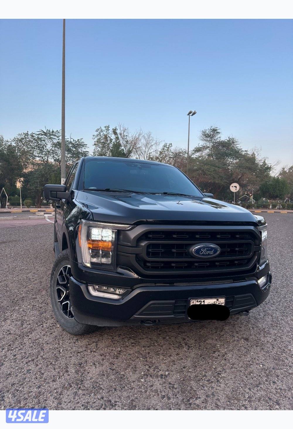 وانيت فورد FX41