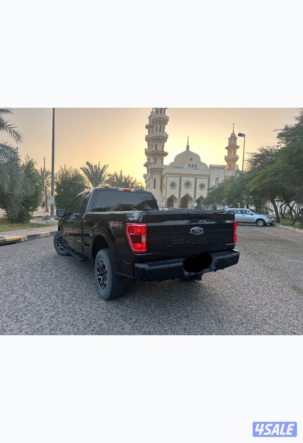 وانيت فورد FX43