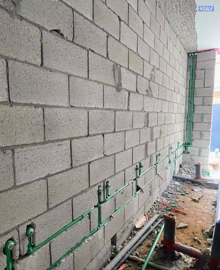 باکستانى مقاول صحي ريحان4