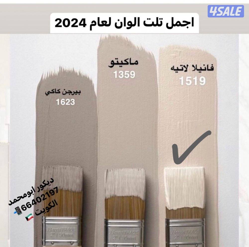 ابو حسن الصباغ ... ..صباغ شاطر ..صباغ رخيص4