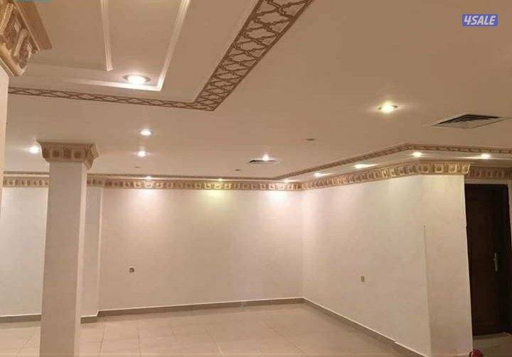 ابو حسن الصباغ ... ..صباغ شاطر ..صباغ رخيص11