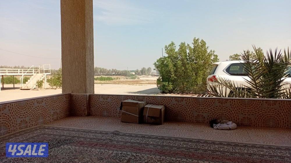 مطلوب اسطبل في فروسية الأحمدي0