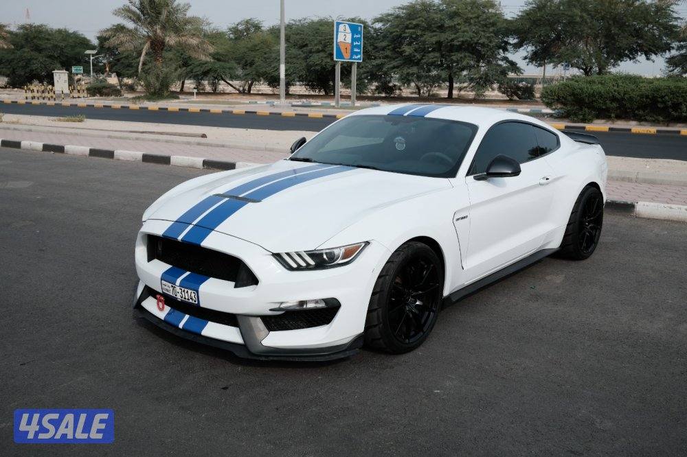 gt350 20163